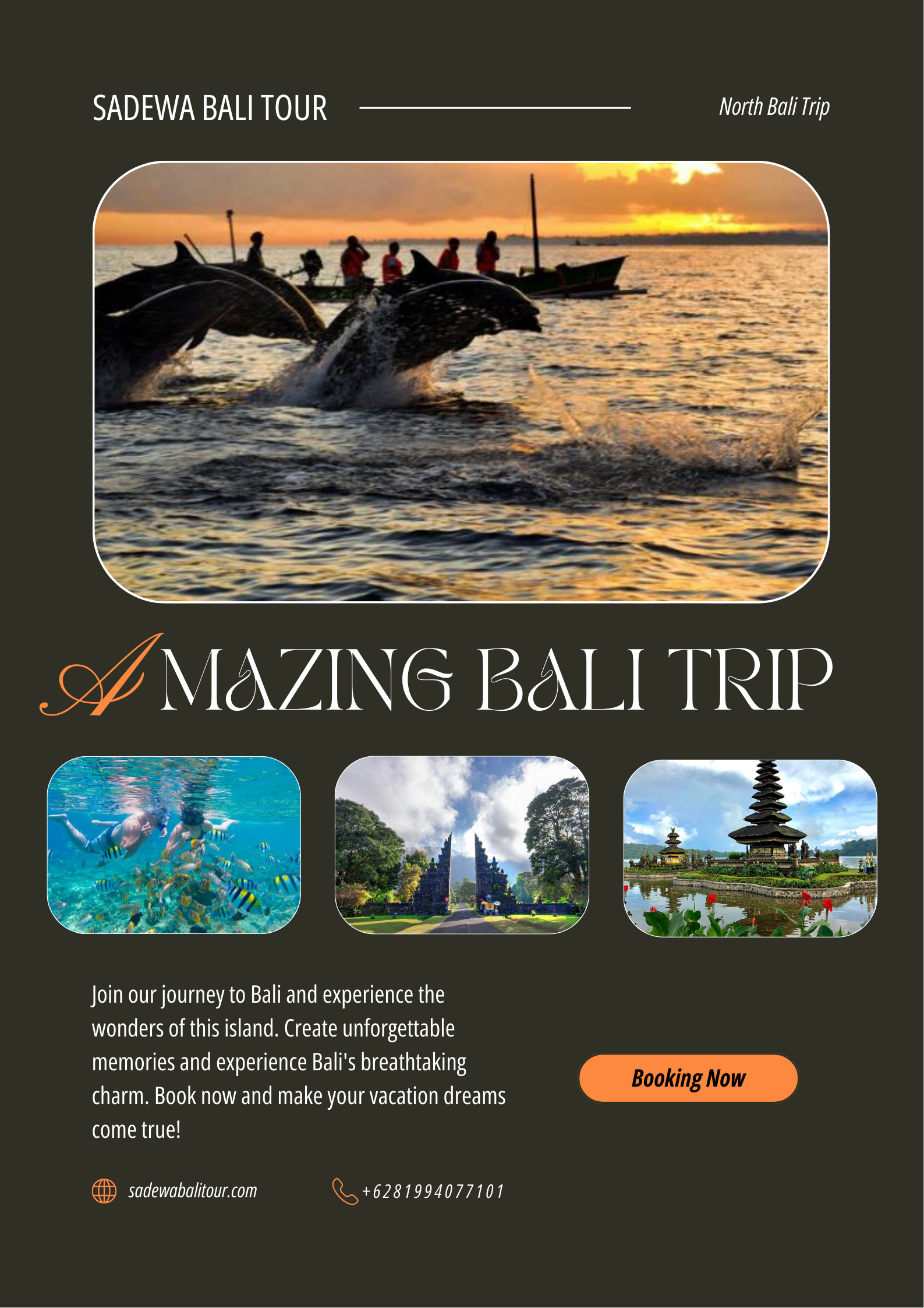 North Bali tour